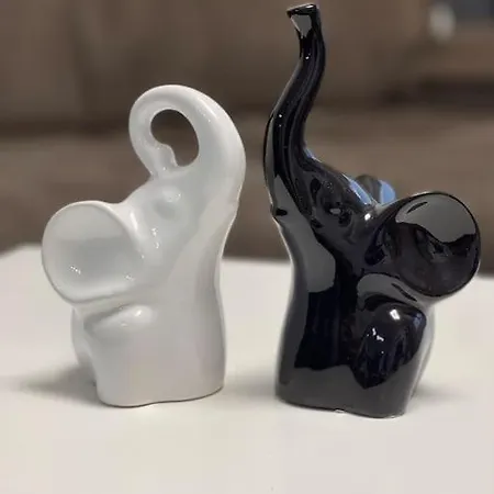 Y&y דירה