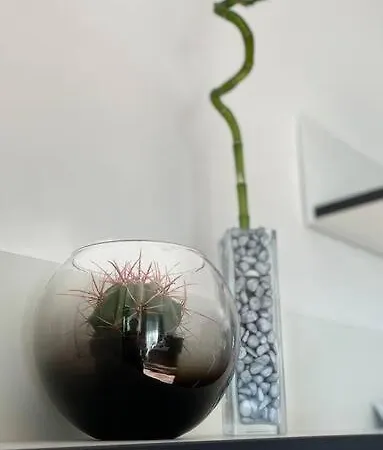 Apartment Y&y *